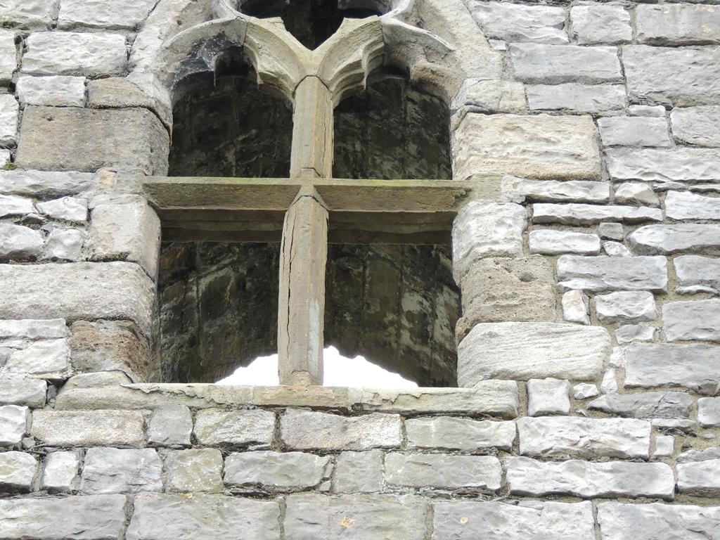 DSCN7791.JPG