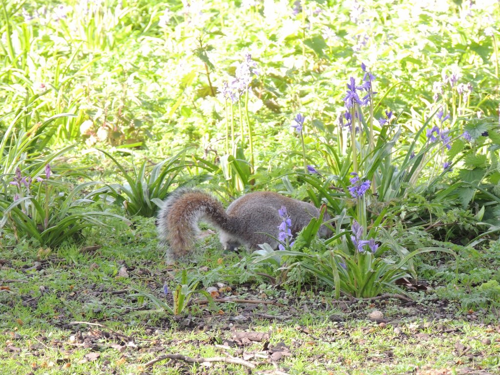 DSCN8228.JPG