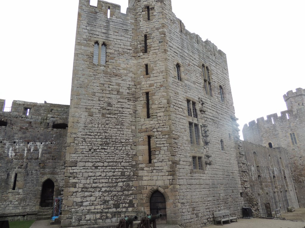 DSCN8609.JPG