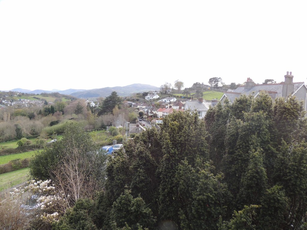 DSCN8625.JPG