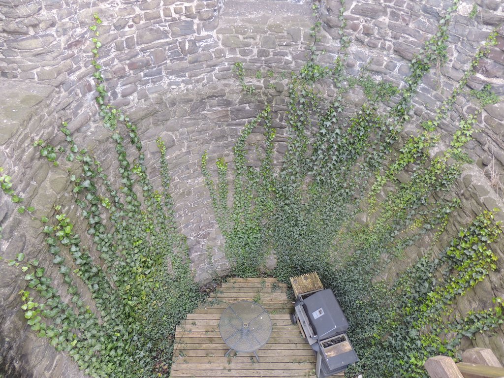 DSCN8631.JPG
